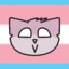 sillykitty