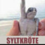 Syltkröte