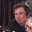 Stoned Elon