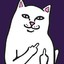 MR.КОШАК