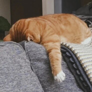 狂戳瞎子另一只好眼