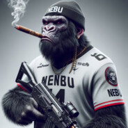 yGauchoTv