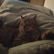 tymusadrenalinarp avatar