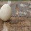 BalanecedEgg