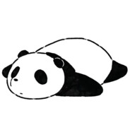 少先队员总司令