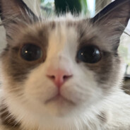 佳佳熬夜不嘻嘻