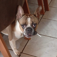 Pepeto's avatar