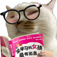 哈基米南北绿豆~