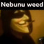 Nebunu weed