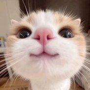 mikazzz