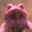 Estrogen Enhancer Le Toad
