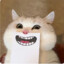 𝕐𝐮๓ˇ