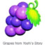 Grapes From Yoshi&#039;s Story