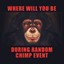 Random Chimp Event