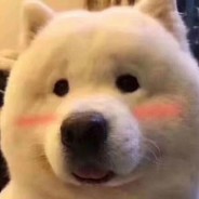 旋转、跳跃、当头一狙