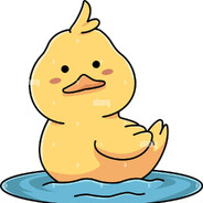 not_a_goose