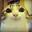 Meowwww