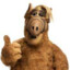 Alf