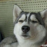 红尘作伴日理万妓