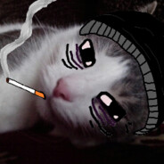Timtzc avatar