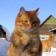 金枪不倒西门庆