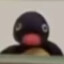 Pingu