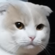 传奇笨贼丶孙若庭