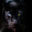 Undertaker