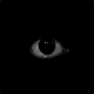 CryNoob avatar