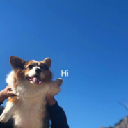 巴基斯坦鸭嘴兽