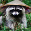 SlipperyRaccoon7182