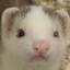 Goober