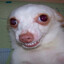 yuto