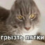 Грызть Пятки