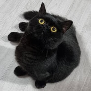 ͅ⁧⁧ツ
