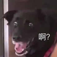 停车坐爱枫林晚