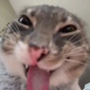 玩家头像
