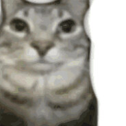 历经五十四次劫 劫云仍