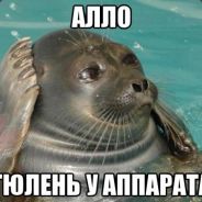 T}OleN - steam id 76561198079126191