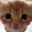 OrangeCat
