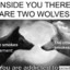 Tachanky Wonky