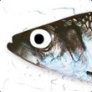 Herring avatar