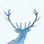 Cyanrain
