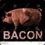 Bacon