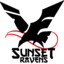 Sunset Raven