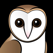 Owl LoFi - steam id 76561197961437314