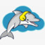 Dolphin with Downs