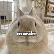 NPC IntercomFellow