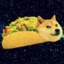 taco-dog