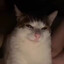 whitecki